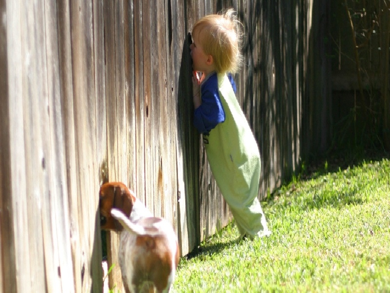 试管体检结果异常,女人瞒着家人试管